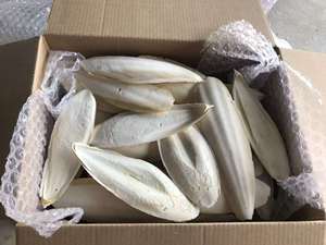 Vente en gros d'os de seiche naturel - Os de calmar FABRIQUÉ AU VIETNAM // Mme Alina - Product Image 3