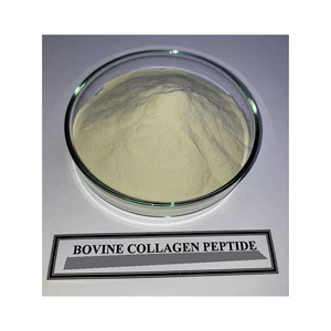 Peptides de collagène bovin de haute pureté, approvisionnement en gros, livraison rapide, prix d'usine. - Product Image 6