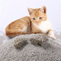 Litière pour chat à base de manioc de qualité supérieure, agglomération rapide, faible dispersion, étiquette personnalisée, OEM ODM, approvisionnement en vrac