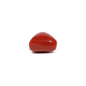 Natural Red Coral Oval Cut Loose Gemstone 11.75 Carat for Fine Jewelry - Product Image 3