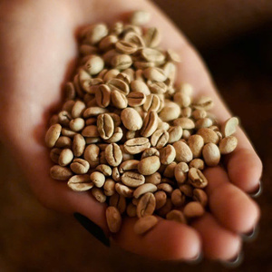 Premium Vietnam Arabica Green <b>Coffee</b> <b>Beans</b> size 16 Full Washed Highlands <b>Coffee</b> Bulk Export High Altitude <b>Coffee</b> Supplier - Product Image 1