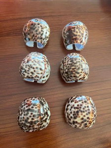 Anillos para Servilletas de Concha Natural, Soporte de Concha de Cauri Pulida, Decoración Rústica para el Hogar, Decoración de Mesa - Product Image 3