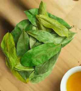 ใบชื่นฉ่ำหมักเป็นชาดำออร์แกนิก ไม่เติมน้ำตาล เกรดเพื่อสุขภาพ ชาแบบซอง 25 ซอง คุณภาพพรีเมียม - Product Image 3