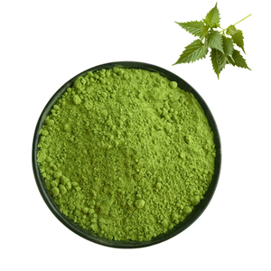 Poudre de feuilles d'ortie en gros, qualité alimentaire, pour applications alimentaires et boissons, poudre de feuilles d'ortie pure avec nutriments naturels - Product Image 2
