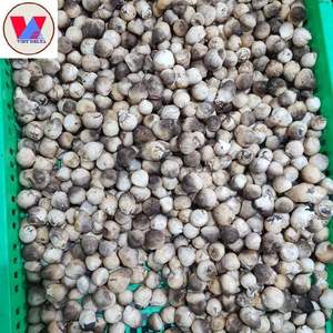 Champignons de paille congelés IQF biologiques et naturels de haute qualité cultivés transformés au Vietnam Source brute - Product Image 3