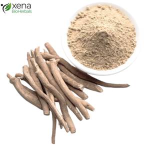 Proveedor Mayorista de Extracto Soluble de Aceite de Ashwagandha, Ingrediente Botánico Natural al por Mayor - Product Image 3