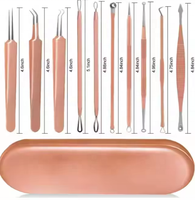 Aiguille de précision en acier inoxydable certifiée CE ISO pour l'élimination des points noirs Kit d'outils pour l'élimination des points blancs Ensemble de manucure et de pédicure pour la peau du visage OMI