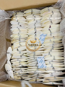 Hueso de Sepia de Alta Calidad para Aves, 100% Natural, Proveniente de Vietnam, la Mejor Fuente de Suplemento de Calcio - Product Image 4