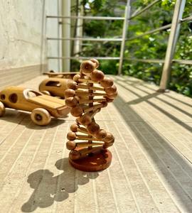 ของเล่นไม้ไผ่ขายดีที่สุด ของเล่นเด็ก DNA ของเล่นวิทยาศาสตร์เพื่อการศึกษาที่เป็นมิตรกับสิ่งแวดล้อมสำหรับเด็ก - Product Image 2