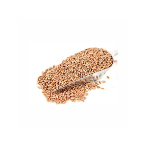 Grains de blé proposés pour l'achat en gros et l'approvisionnement économique pour les distributeurs - Product Image 3