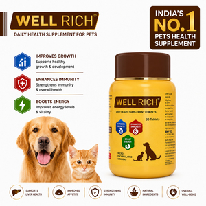 อาหารเสริมสุขภาพสำหรับสุนัขและแมว ยี่ห้ออินเดียนซัพพลายเออร์ เวลริช 30 เม็ด วิตามินเสริมสร้างภูมิคุ้มกัน พลังงาน โปรไบโอติก และกรดอะมิโน สำหรับสัตว์เลี้ยง ใช้ได้ทุกวัน - Product Image 2