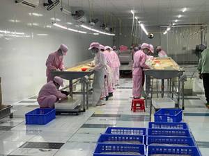 เนื้อมะเฟืองแช่แข็งพรีเมียมพร้อมเมล็ด / น้ำมะเฟืองธรรมชาติ 100% IQF ราคาโรงงานขายส่ง 99 โกลด์ ดาต้า ลัม ตง - Product Image 4