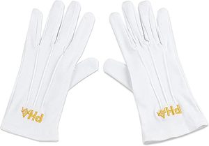 Gants blancs brodés à la main de la franc-maçonnerie Prince Hall (PHA Freemasonry), mesurant environ 10 pouces (longueur) x 4 pouces (largeur) - Product Image 5