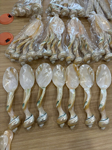 Cuillère artisanale en coquillage à finition naturelle pour décoration sur le thème côtier et approvisionnement commercial - Product Image 4