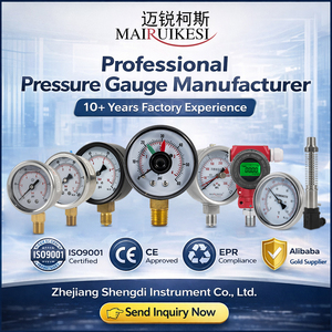 Cost Effective Lightweight Long Service Life Dry Pressure Device Pressure <strong>Gages</strong> for Water Pipeline Monitoring - Product Image 5