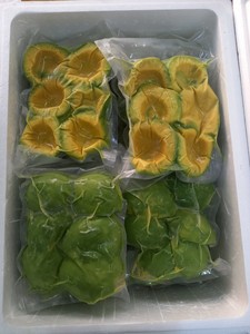 AVOCAT CONGELÉ DU VIETNAMIEN DISPONIBLE EN QUANTITÉ VRAC POUR L'EXPORTATION ET LA DISTRIBUTION MONDIALE - Product Image 2