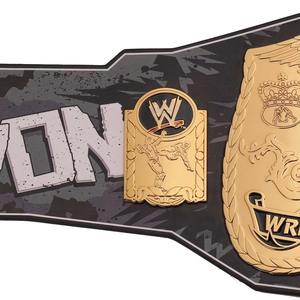 Cinturón de Campeonato Mundial de la Serie Signature de The Dudley Boyz, Cinturón de Lucha Libre, Boxeo, MMA, Auténtico, Cinturón de Campeonato Universal - Product Image 3