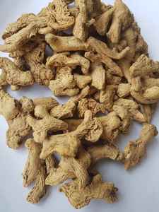 JENGIBRE SECO DE VIETNAM, ENTERO, DESHUECADO Y REBROZADO, 100% NATURAL, RAÍZ DE JENGIBRE, ESPECIAS PICANTE PARA COCINAR Y TÉ, ALTA CALIDAD - Product Image 3