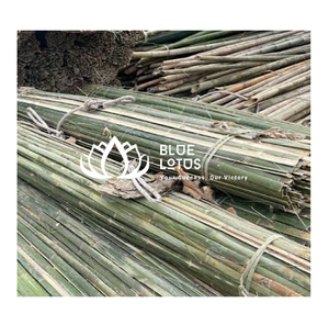 Varas de bambú natural de medio corte para la fabricación de cometas en Pakistán y estructuras de construcción de alta resistencia - Product Image 1