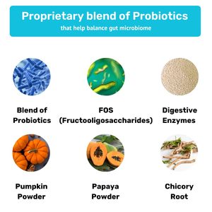 Masticables suaves de probióticos naturales para perros y gatos, proveedor de etiqueta privada OEM para soporte intestinal, inmunidad, suplementos digestivos para el cuidado de la salud - Product Image 6