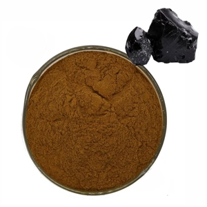 Premium Quality Shilajit Extract Powder Natural Himalayan Shilajit Extract Powder Supports Vitality and Mineral Nourishment - Product Image 2