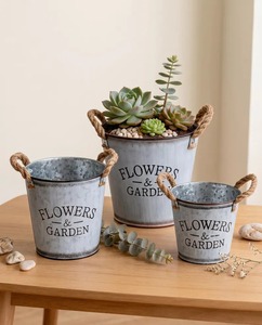 Maceta Clásica Galvanizada para Jardinería Interior Moderna y Solución Decorativa Rústica para el Hogar - Product Image 5