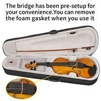 Full Size 4/4 Violin Set Adults Beginners Students Hard Case Bow Shoulder Rest Extra Strings Sordine Model D0100HPMH0W