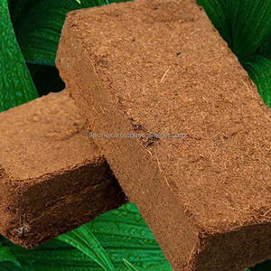 Eco Friendly Coco Peat for Agriculture Manufacturer Export Wholesale OEM - Product Image 3