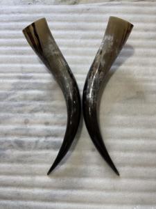 Par de Cuernos de Búfalo Pulidos para Decoración de Pared, Diseño Art Deco, Grandes de 27 a 35 Pulgadas, para Bodas, Cumpleaños, Aniversarios - Product Image 6