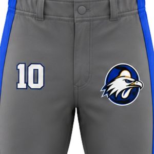 Pantalon de baseball gris bleu roi avec le numéro 10 et logo aigle brodé, coupe ajustée, tissu respirant, vêtements de sport performants - Product Image 6