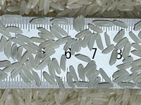 Arroz Jazmín Nang Hoa Premium, Arroz Blanco Aromático de Grano Largo de Vietnam, Textura Dura, Seco, Venta al por Mayor, Exportación, Empaque OEM