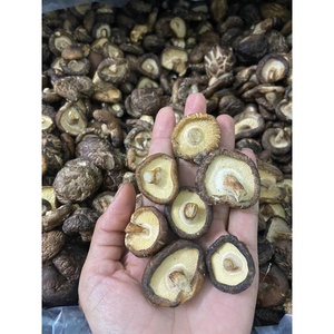 Hongos Shiitake secos enteros para sopa OEM Embalaje a granel Cultivado Seco Xianggu Shiitake Seta Comida vegetariana - Product Image 1