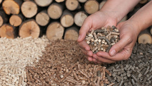 Palitos de Madera de Pino y Abeto Clase A1, 6-8mm X 10-50mm, 7% Ceniza, 5% Humedad, 4500J Calorías, Combustible para Cocinar, Certificación BSL ENplus A1A2, Bolsas de 15kg - Product Image 6