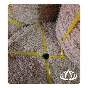 [MEJOR VENDEDOR] Cuerda de Fibra de Coco BLUE LOTUS FARM de Ben Tre, Vietnam, para Fijación de Carga, Envoltura, Embalaje y Manualidades - Product Image 1