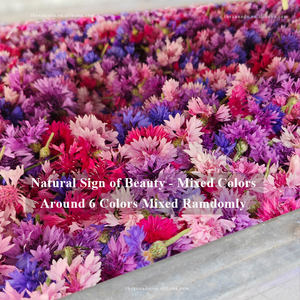 コーンフラワーズオーガニックミックス6色乾燥天然手作り<span class=keywords><strong>Centaurea</strong></span> <span class=keywords><strong>Cyanus</strong></span>装飾用/ベーカリー/ティーバス/キャンドルカスタムパック - Product Image 5