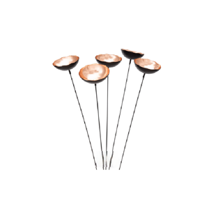 Juego de 5 Macetas de Cobre Poppy Sways - Product Image 1
