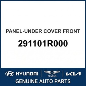 Nouveaux accessoires de protection supplémentaires Accent 291101R000 - Product Image 1
