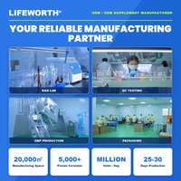 LIFEWORTH - Polvo Electrolítico Hidratante de Frutas Mixtas de Marca Privada, 5 Electrolitos, 16x10g, Sin Azúcar, OEM, ODM