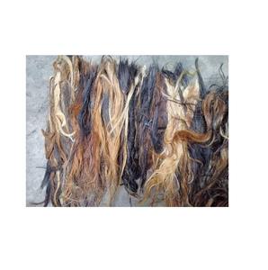 Brosse en poils de buffle pour animaux, fabrication indienne, BURAQ HANDICRAFT - Product Image 3