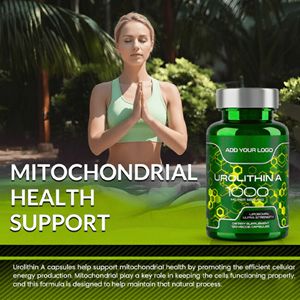 Capsules de Urolithine A liposomale à formule personnalisée 1000 mg Complément alimentaire à base de plantes pour adultes - Product Image 5