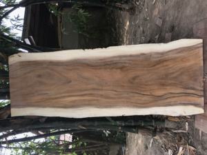 โต๊ะไม้แผ่นใหญ่ทรงธรรมชาติ ทำจากไม้กระถินเทศ คุณภาพดี ใช้เป็นโต๊ะอาหาร หรือม้านั่ง  แผ่นไม้กระถินเทศและวอลนัททรงธรรมชาติ - Product Image 2