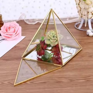 Terrarium en verre moderne de luxe artistique, pot de fleurs en métal, vase de table, support décoratif pour plantes d'intérieur, décoration élégante pour la maison, Diwali - Product Image 2