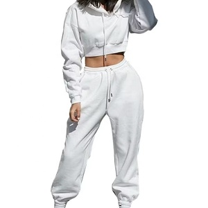 OEM personalizado al por mayor recortada superior sudaderas con capucha gota hombro ácido lavado puff estampado sudaderas con capucha para las mujeres - Product Image 3