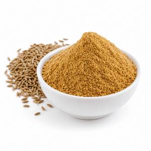 Extracto de Semilla de Comino Certificado, en Polvo, Ingrediente Derivado de Especias Premium para el Bienestar Digestivo - Product Image 1