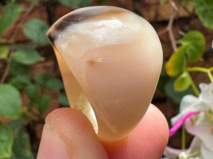 Horn Essence – Anillo minimalista con diseño llamativo - Product Image 4