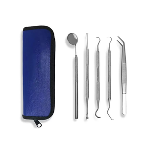 2026 Customized High Quality Stainless Steel Manual Dental Examination Kit with Dental Mirror and <b>Tooth</b> Care <b>Tools</b> - Product Image 6
