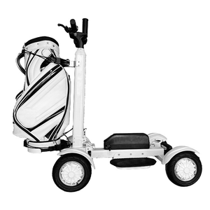 Dericsson 2025 with Lithium Battery Bag Electric 4-Wheel <b>Trolley</b> 2400W Aluminium alloy High quality Single Seat Golf Cart - Product Image 3