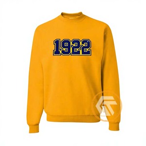Sweat-shirt en molleton de coton 500g à manches longues, personnalisé de haute qualité, motif Trésors Grecs Sigma Gamma Rho, broderie frontale, idéal pour l'hiver - Product Image 1