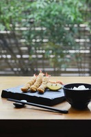 Assiette en mélamine de 9,5 pouces, plateau en plastique, grain de bois, style japonais et coréen, vaisselle incassable pour restaurant, pour hôtel