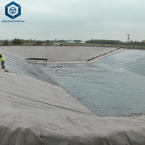 Foglio <span class=keywords><strong>di</strong></span> Geomembrana HDPE da 2mm per Digestori <span class=keywords><strong>di</strong></span> Biogas, Rivestimento HDPE all'Ingrosso per Applicazioni Anti-Infiltrazione - Product Image 5